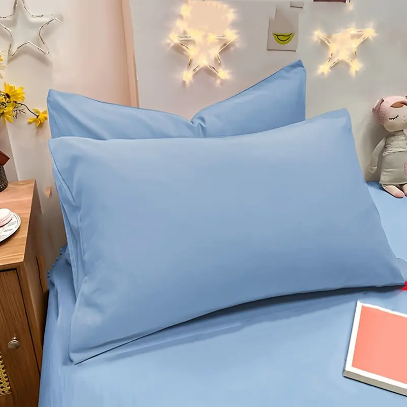 2pcs Brushed Pillowcase, Soft  - đánh giá và giá Pillow Cover 20X20